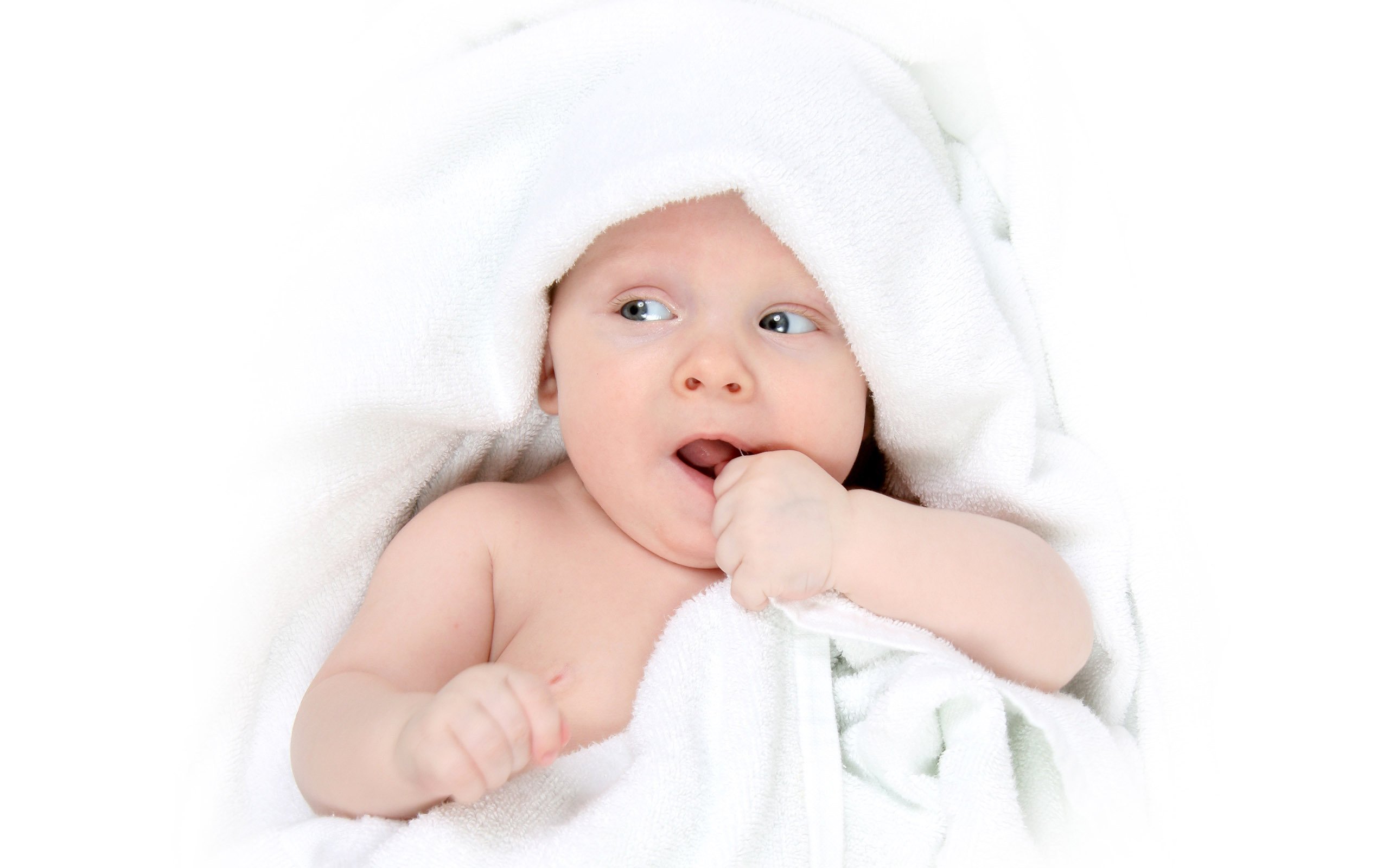 供卵联系方式试管婴儿复苏的成功率